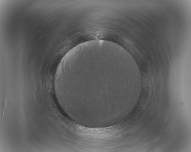 X0000060790030200512011718