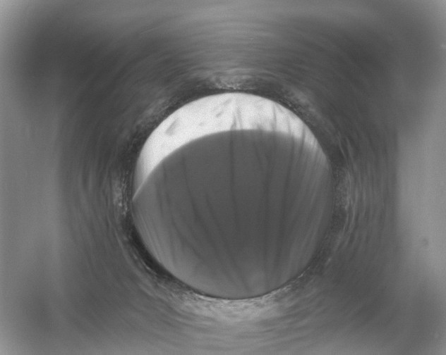 X0000060790031200512011718