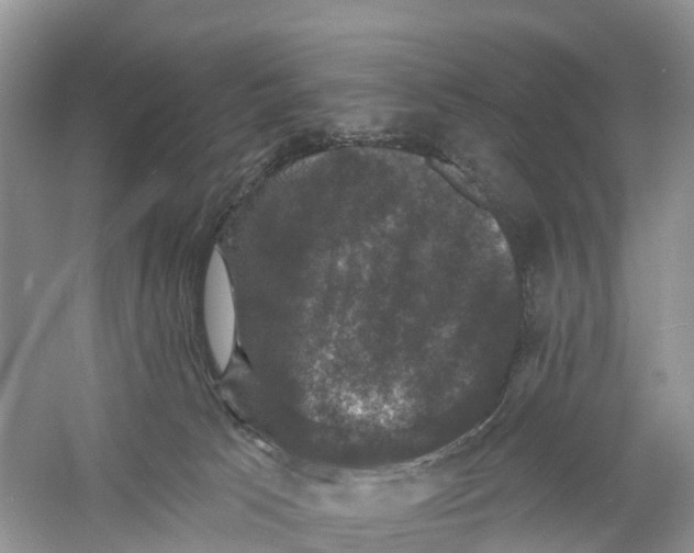 X0000060790033200512011718