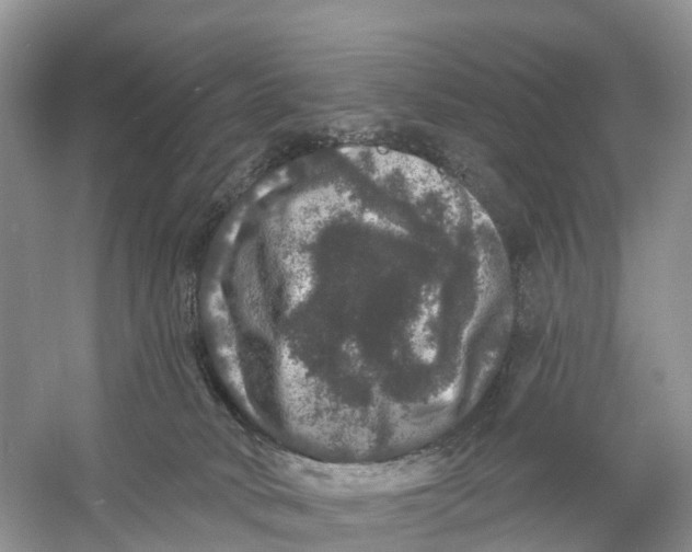 X0000060790034200512011718