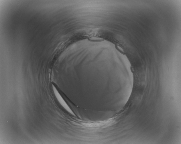 X0000060790035200512011718