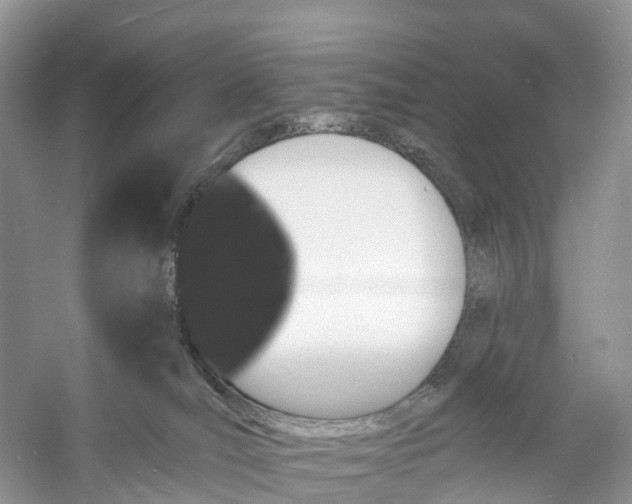 X0000060790036200512011718