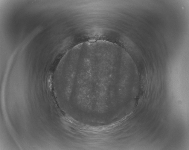 X0000060790037200512011718