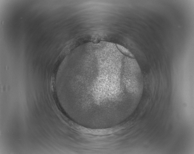 X0000060790038200512011718