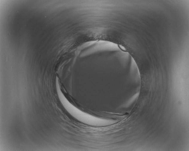 X0000060790039200512011718