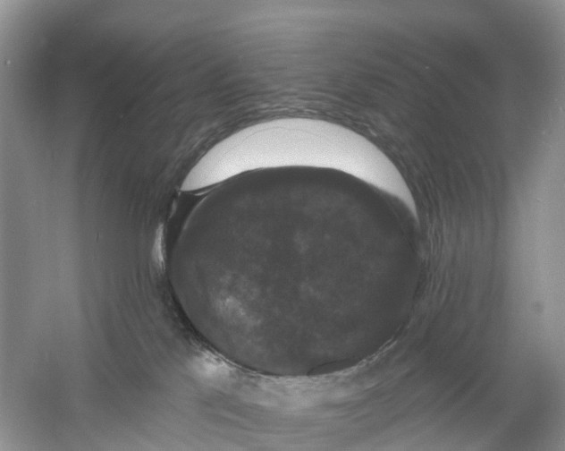 X0000060790041200512011718