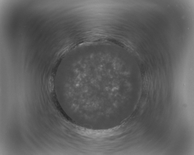 X0000060790043200512011718