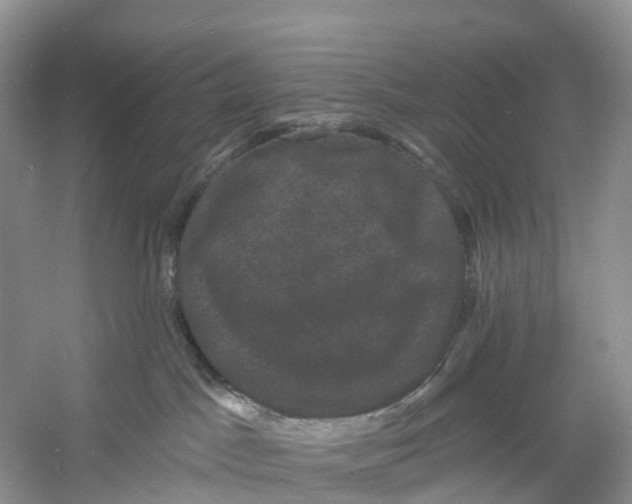 X0000060790045200512011718