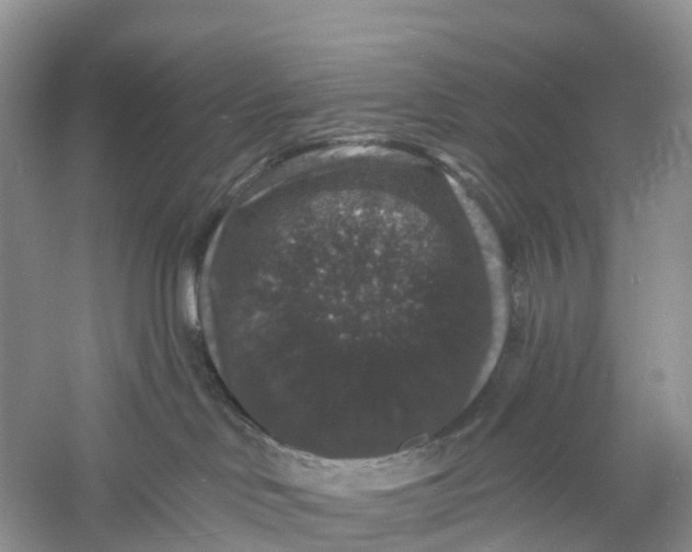 X0000060790046200512011718