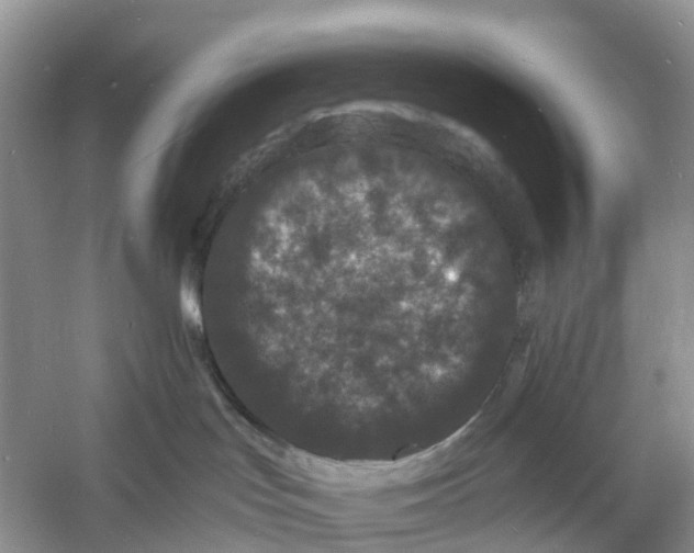 X0000060790047200512011718