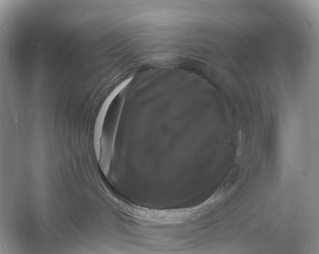 X0000060790048200512011718