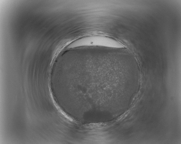 X0000060790049200512011717