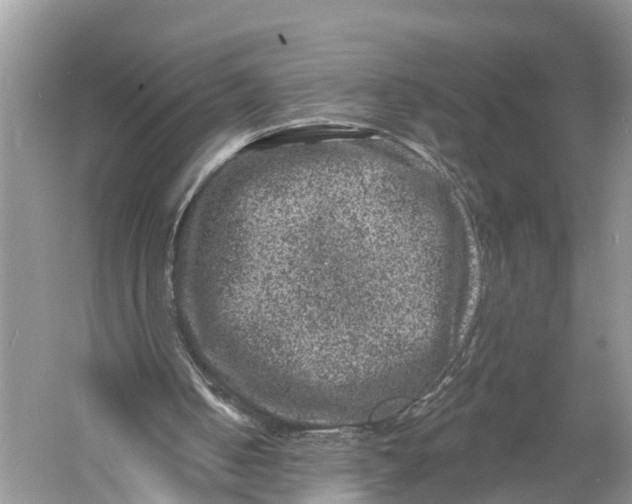 X0000060790050200512011717