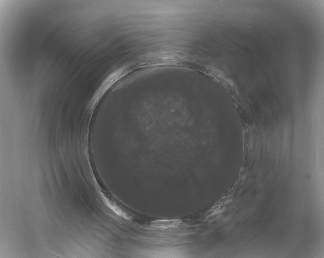 X0000060790051200512011717