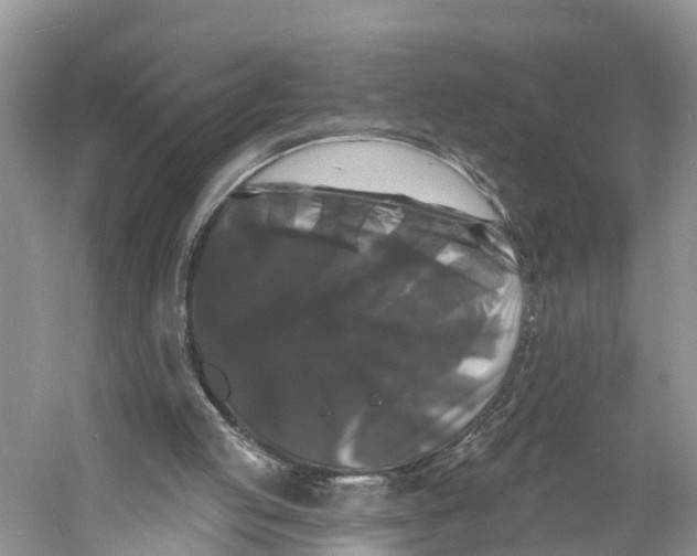 X0000060790053200512011717