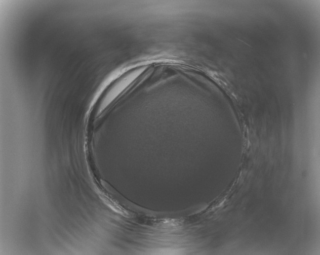 X0000060790056200512011717