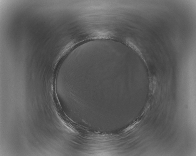 X0000060790059200512011717