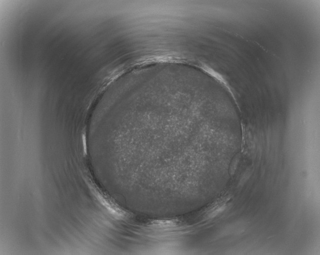 X0000060790061200512011717