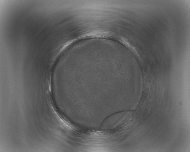 X0000060790062200512011717