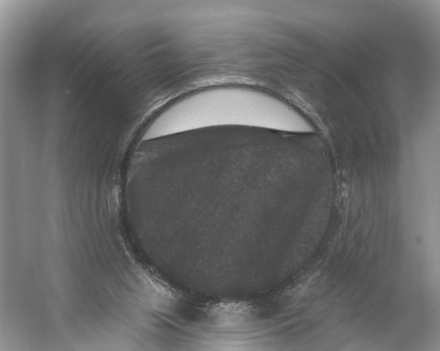 X0000060790063200512011717