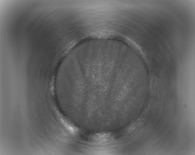 X0000060790065200512011717