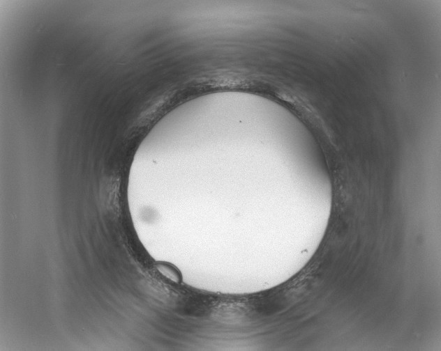 X0000060790066200512011717