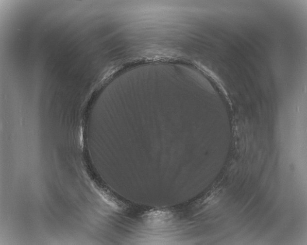 X0000060790067200512011717