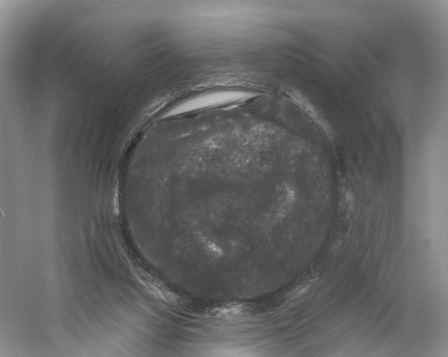 X0000060790068200512011717