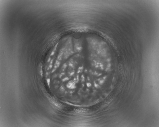 X0000060790069200512011717