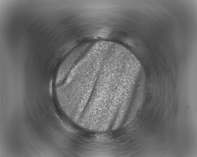 X0000060790070200512011717