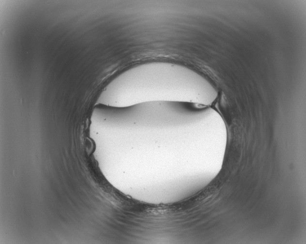 X0000060790071200512011717