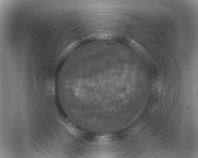 X0000060790072200512011717