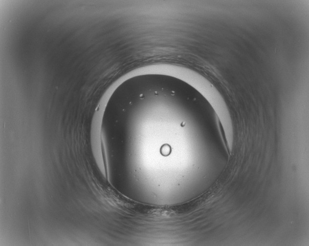 X0000060790073200512011717