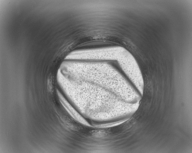 X0000060790074200512011717