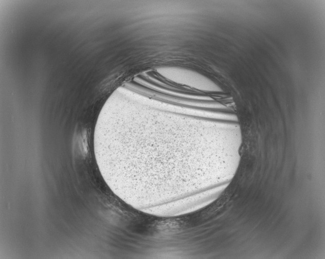 X0000060790075200512011717