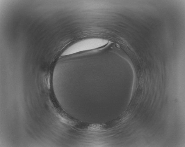 X0000060790076200512011717