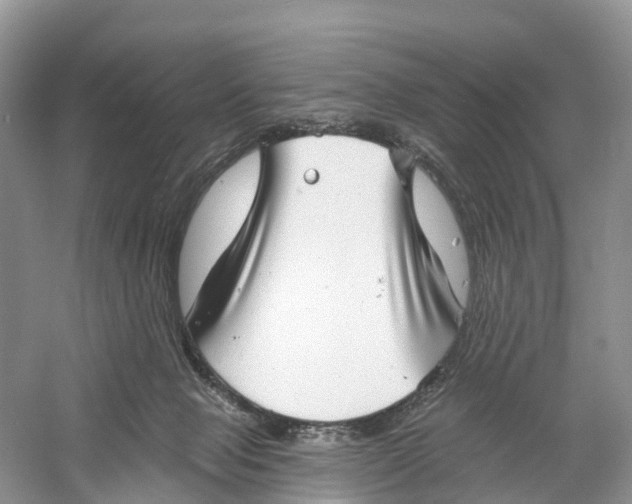 X0000060790077200512011717