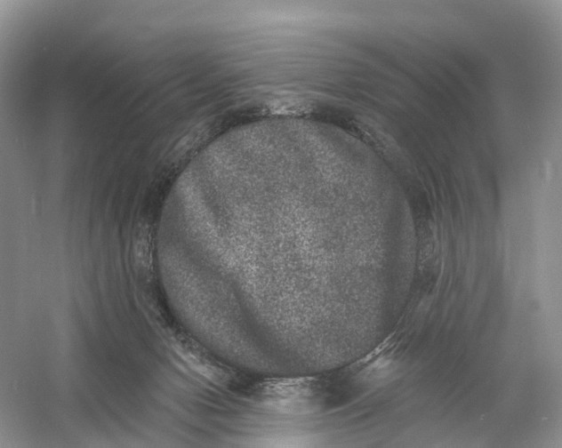 X0000060790078200512011717