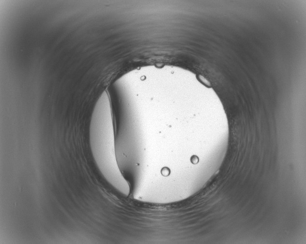 X0000060790079200512011717