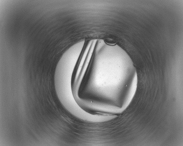 X0000060790080200512011717