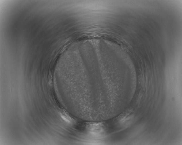 X0000060790081200512011717