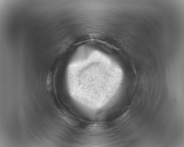 X0000060790082200512011717