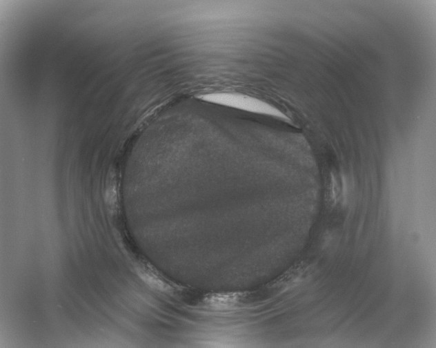 X0000060790084200512011717