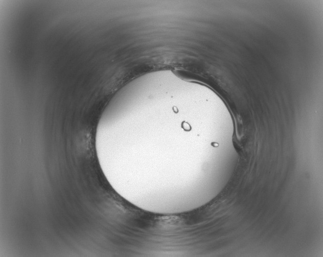 X0000060790087200512011717