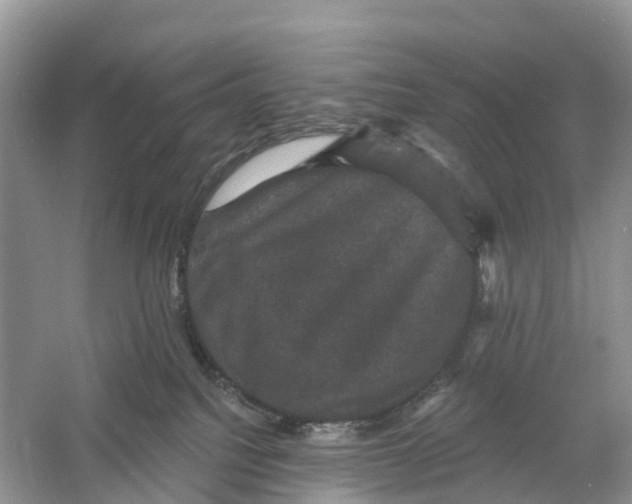 X0000060790088200512011717