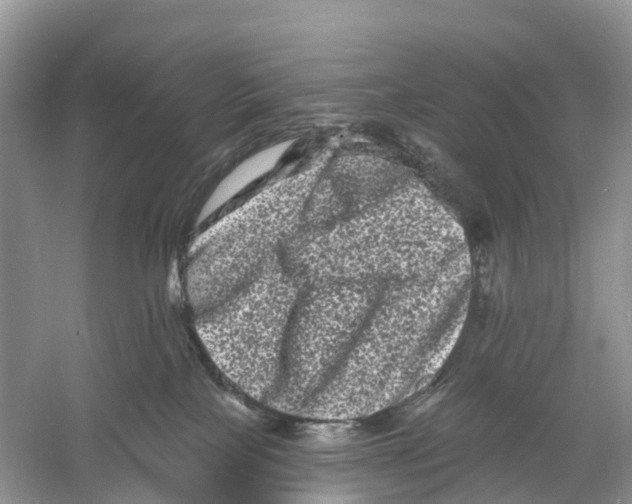 X0000060790089200512011717