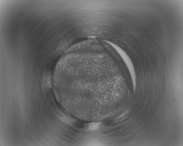 X0000060790090200512011717