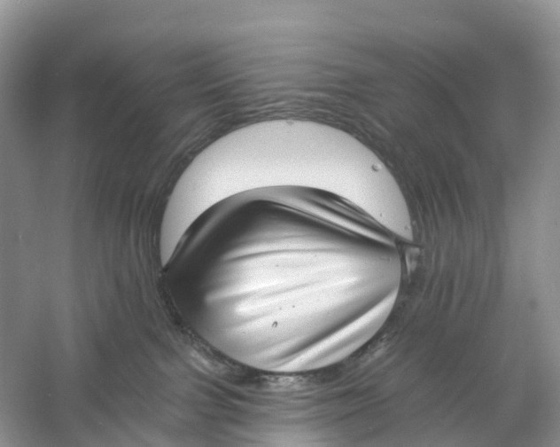 X0000060790091200512011717