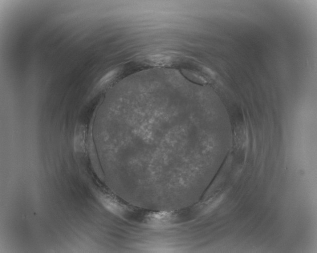 X0000060790092200512011717