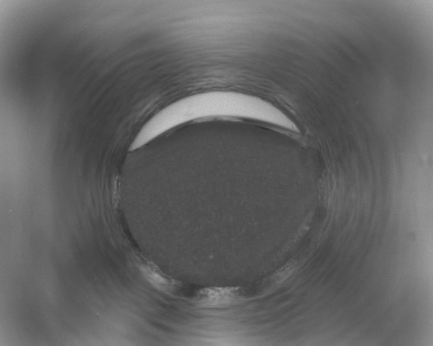 X0000060790093200512011717